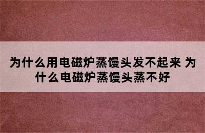 为什么用电磁炉蒸馒头发不起来 为什么电磁炉蒸馒头蒸不好